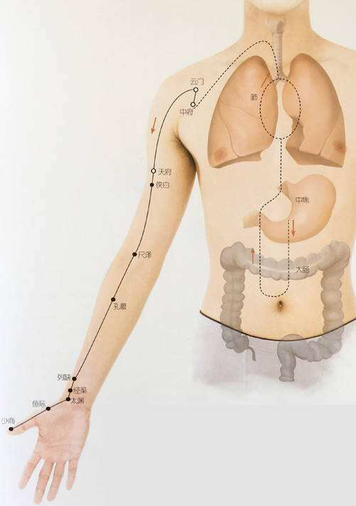 手太阴肺经药方,手太阴肺经针灸大成歌诀