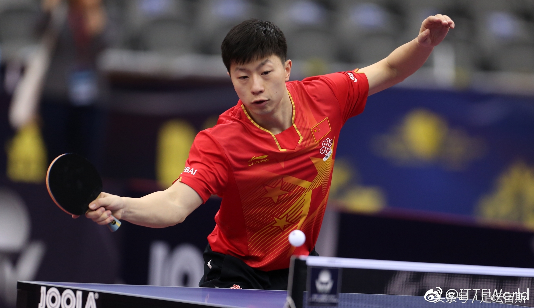 马龙为何退出世乒赛,马龙为什么退赛