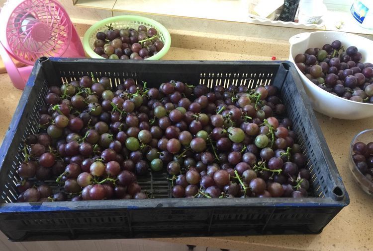 自酿葡萄酒的详细制作方法,葡萄酒正确做法自酿全过程