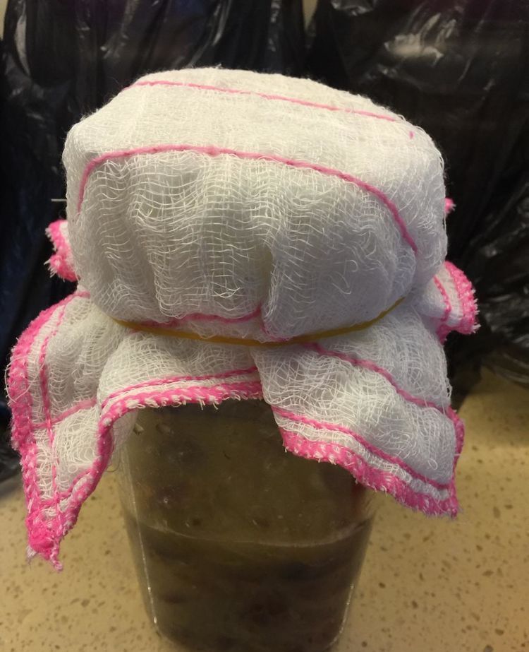 自酿葡萄酒怎么判断葡萄酒坏掉了,葡萄酒怎么酿家庭版