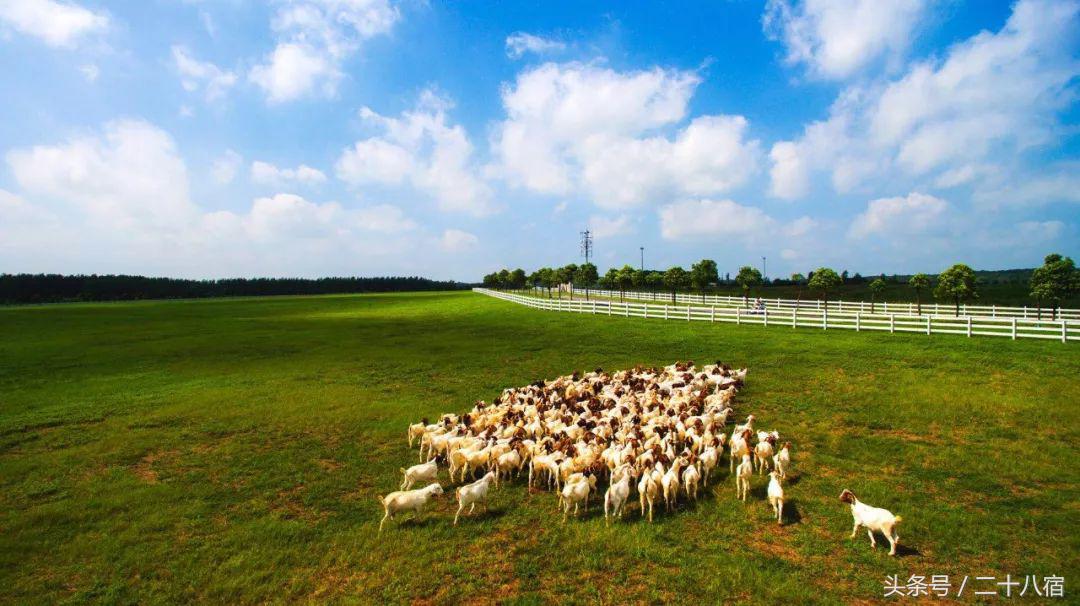 陈柏霖一个人的旅行,陈柏霖花少完整版视频
