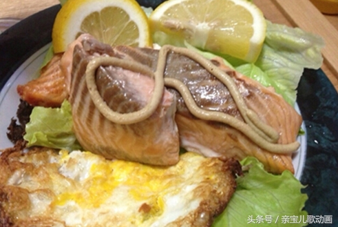 必须拥有的东西,提升生活品质的东西推荐