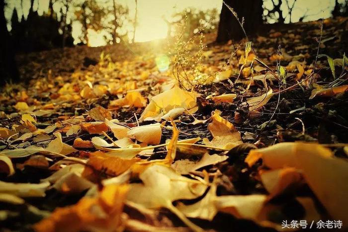 天字1号,天字1号衙门图片