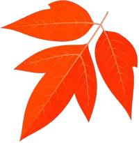 新生攻略三分钟搞定开学报到,多措施确保春季正常开学