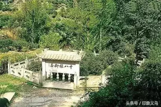 岩茶十大名茶排行榜,福建十大名茶排行榜