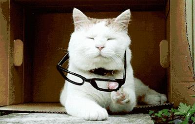 疫情大爆发进口奶粉还敢吃吗,疫情下国外奶粉还能进口吗