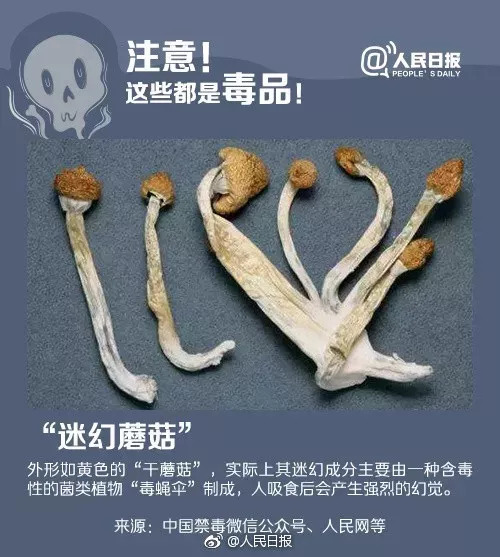 新型违禁品毒品有哪些,新型毒物有哪些