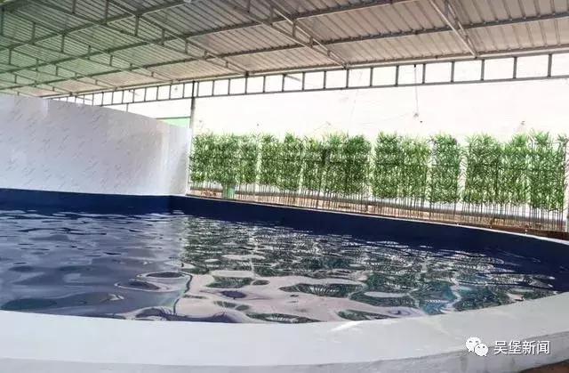 吴堡国际漂流大赛视频,黄河大峡谷国际漂流公开赛攻略