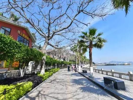 鼓浪屿游玩全攻略，以后别再说去鼓浪屿不知道怎么玩（建议收藏）