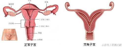 这2种女人*处私**变化最大
