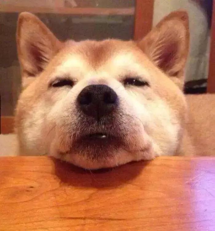 调音师深层解读,调音师解析20分钟