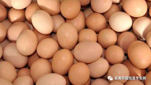 0.015元=0.6元,只有蛋多舒,一药解决增蛋,输卵管炎,肠炎腹泻纯中药无任何抗生素