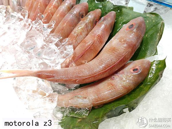摩托罗拉motoz3测试,摩托罗拉motoz3开箱