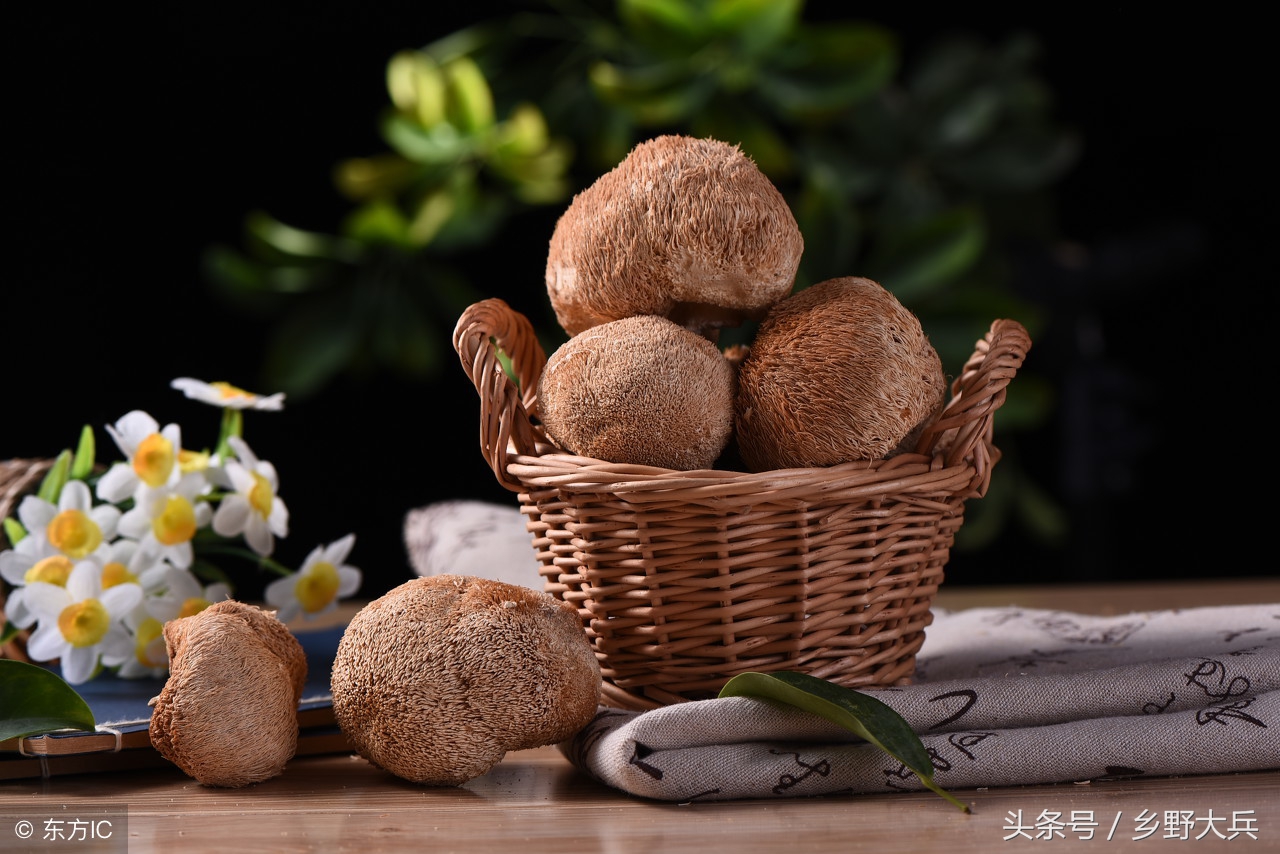 有抗癌功效的山野菜,藏在山林里的美味
