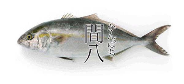 鰤鱼在哪里吃,日本寒鰤鱼做法