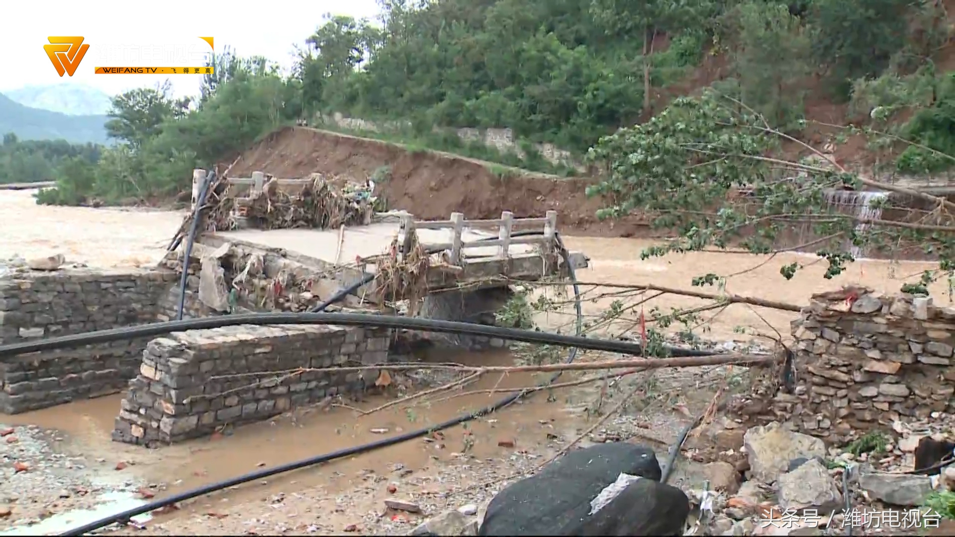 闈掑窞鎶楁椽鏁戠伨,闈掑窞鍏畨鎶楁椽鏁戠伨