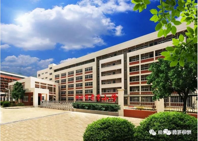 柳州市新开学校,柳州新开的学校