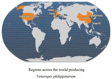 蛏子贝壳类海鲜,贝类海鲜有哪些毛蚶