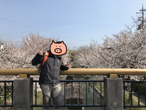 日食记2023,日食记1-7