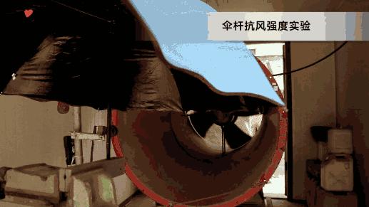 谁说便宜没好货,谁说便宜没好货下句怎么接