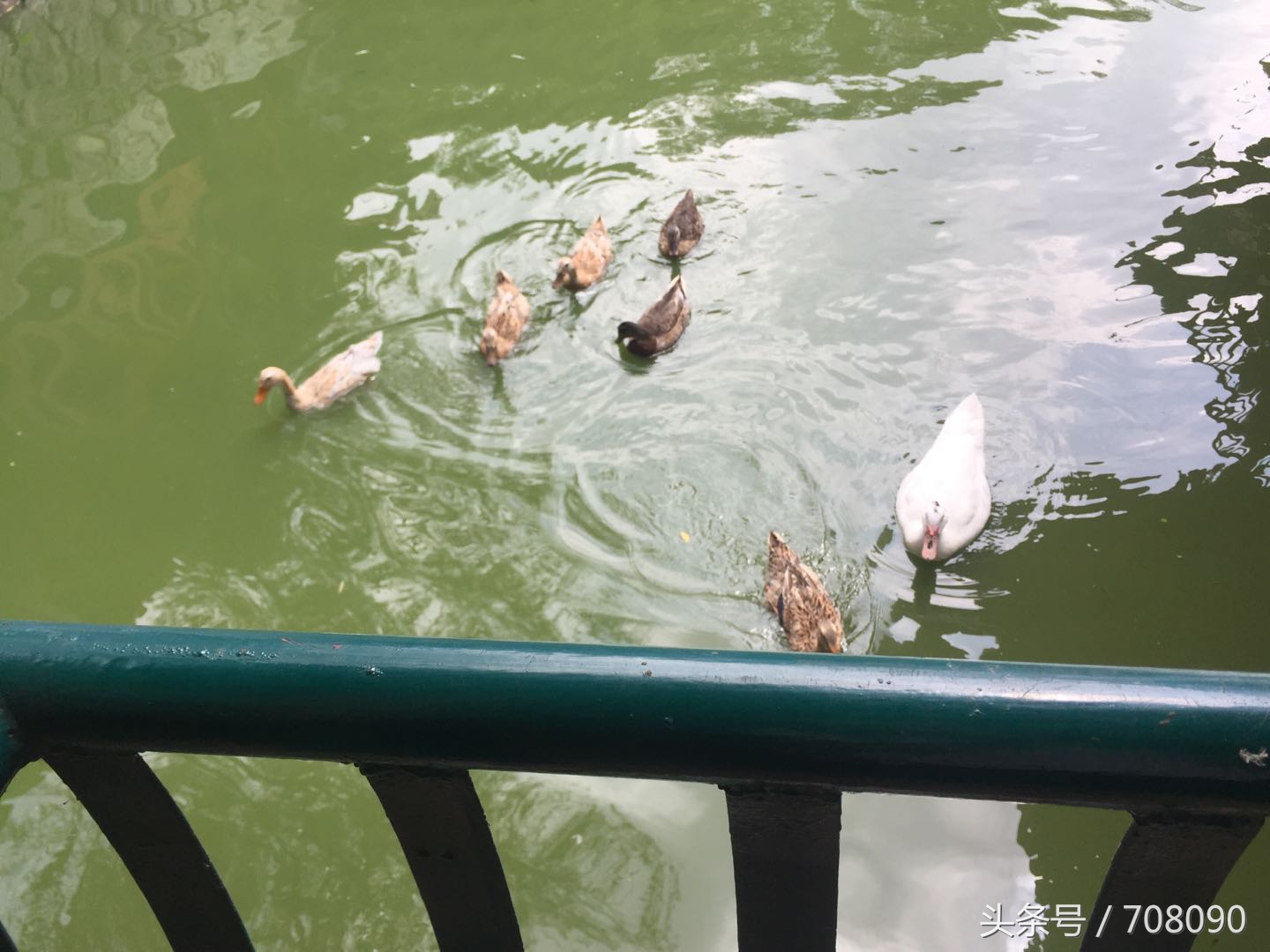 鼓山般若苑旅游攻略,鼓山般若苑网红景点