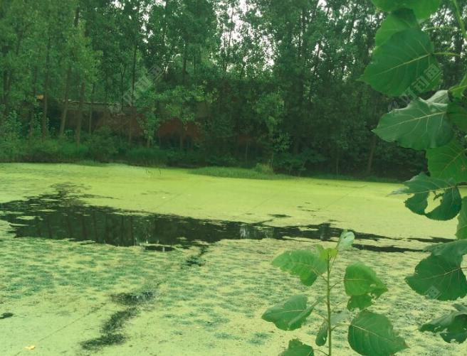 路亚新手入门绑线,新手入坑路亚选2.1米的还是2.4米