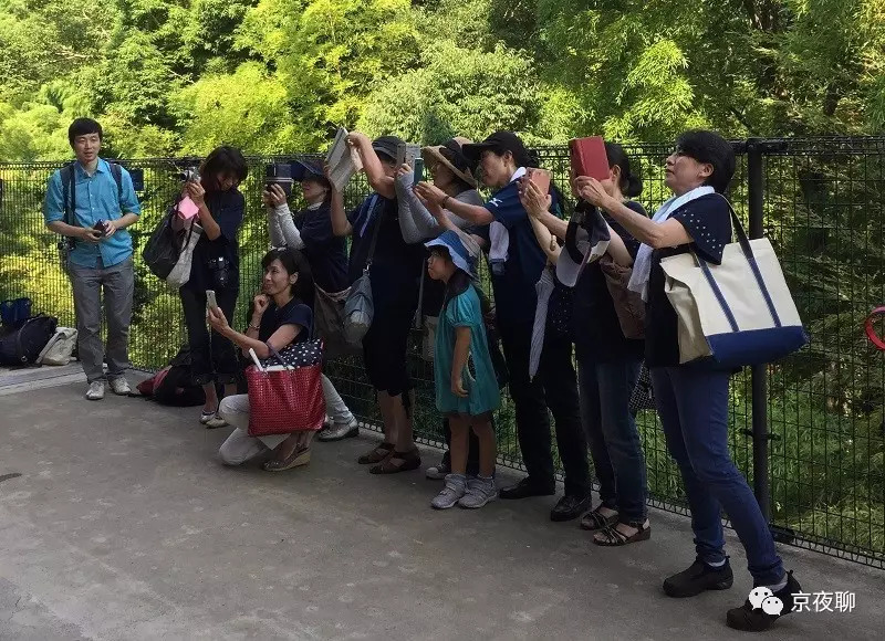 沸腾的青春｜逐梦甲子园：高中生棒球联赛