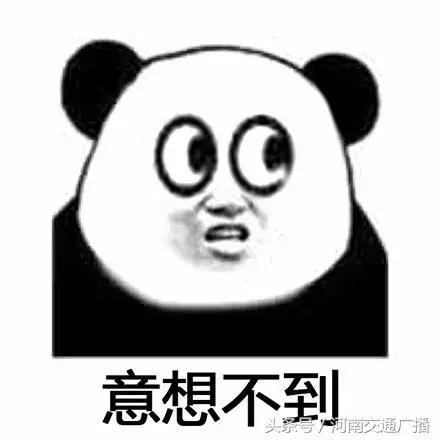 养蜘蛛能除蟑螂吗,蜘蛛能灭蟑螂吗