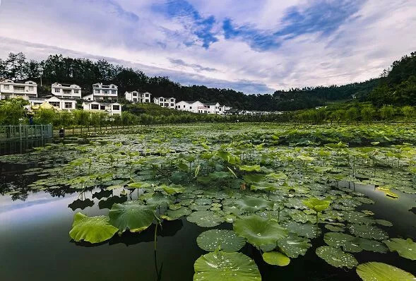 最近的一场国际拉力赛,这一届世界足球比赛在哪里举办