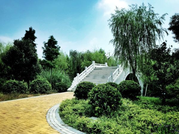 同里湿地好玩吗,同里湿地超有趣