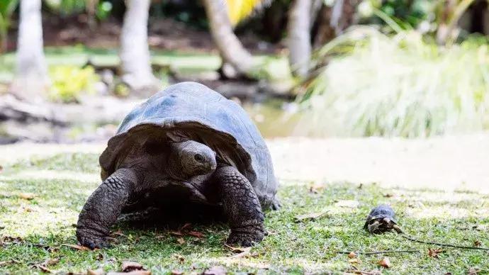 六个免签海岛颜值完爆马岱,值得去的海岛免签国家