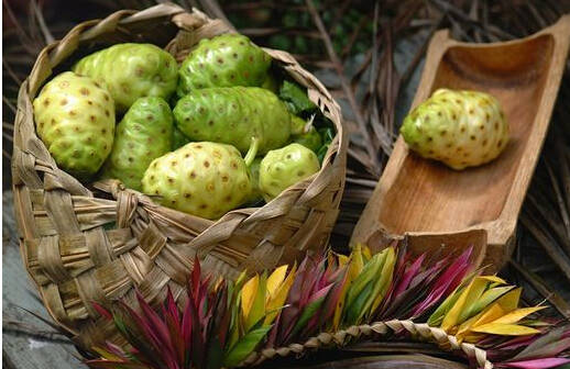 诺丽果的饮品功效和作用,诺丽果原汁功效及副作用