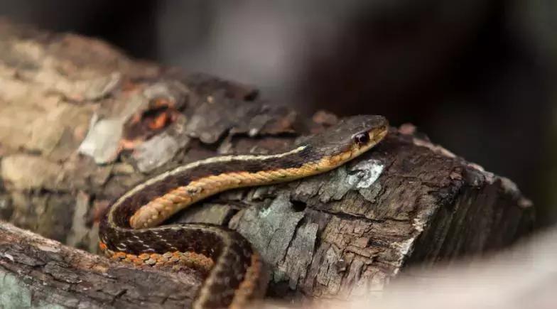 让老百姓能用上优质的国产产品,如何让老百姓买国产产品