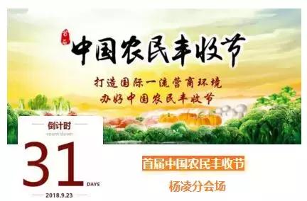 乡村振兴看保康,乡村振兴未来让城里人羡慕去吧