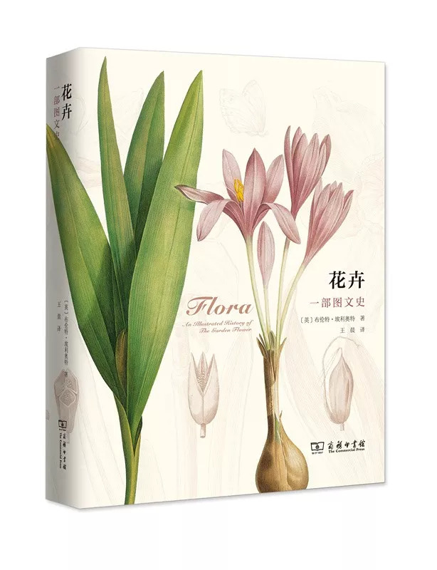 情人节想要给你永不褪色的浪漫,情人节送给彼此的浪漫