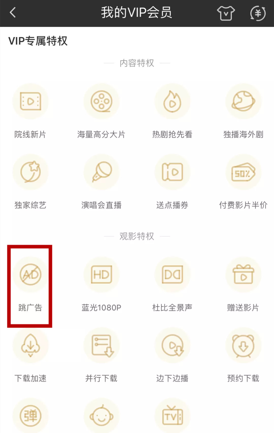 视频免广告会员,视频会员免广告
