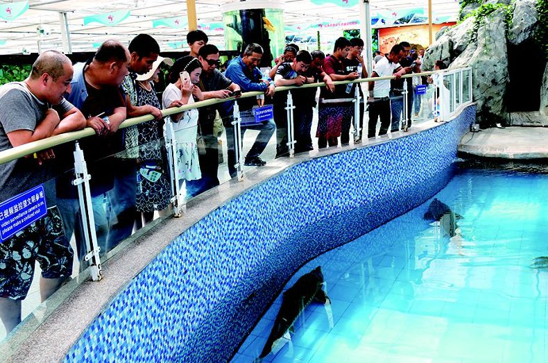 2021年农业农机展销会,2023年农机农产品展会