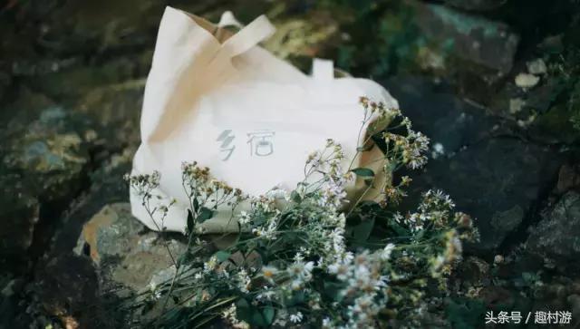 江南避暑度假胜地丨在这5家高冷民宿,探秘千岛湖绝美山水秘境