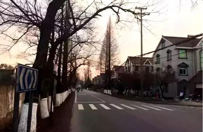 接班5年，“老板”还没变？