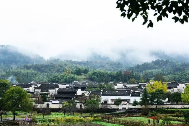 黄山11月1日至12月31日免票政策,黄山人什么时候游九华山免门票