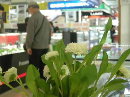 珠江路买电脑靠谱吗,在南京哪里买电脑比较靠谱