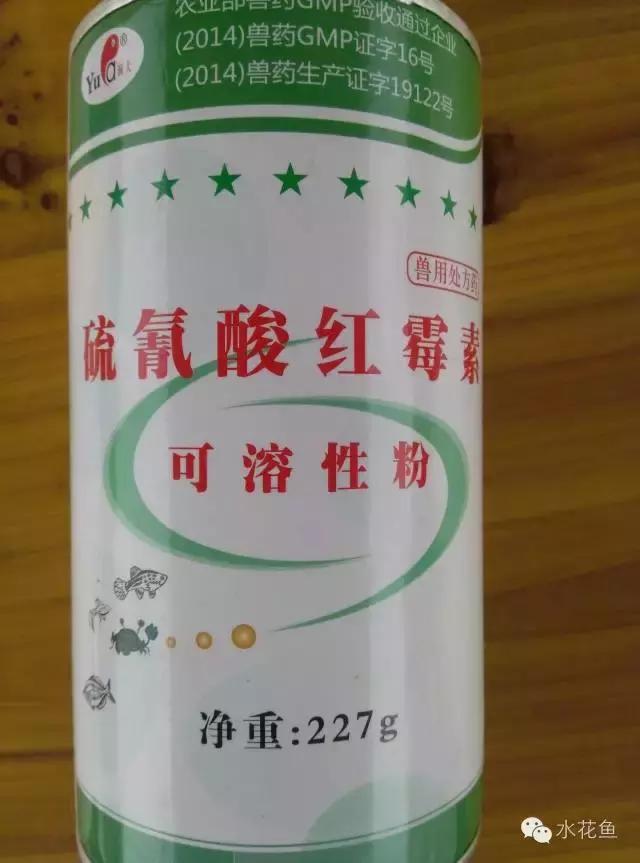 怎样抑制蓝藻爆发,控制蓝藻最省钱的办法