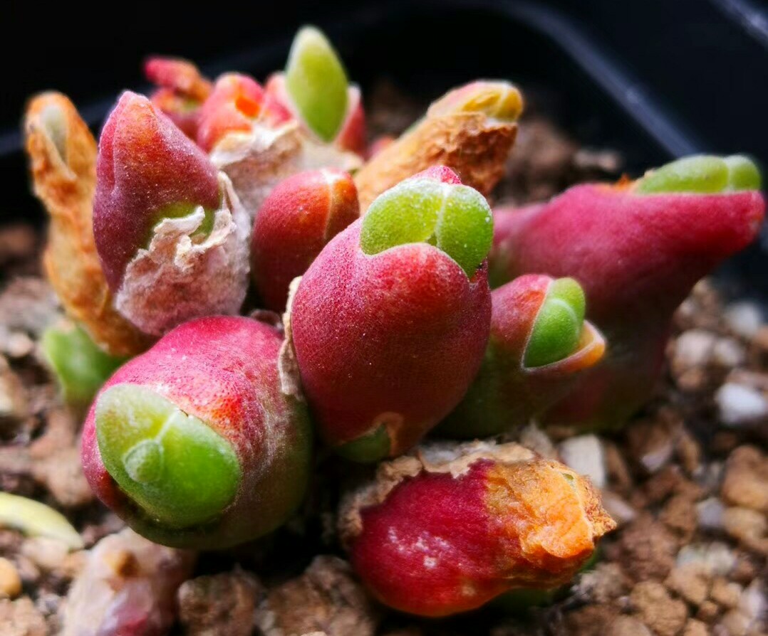 慢生活阅读视频,慢生活阅读