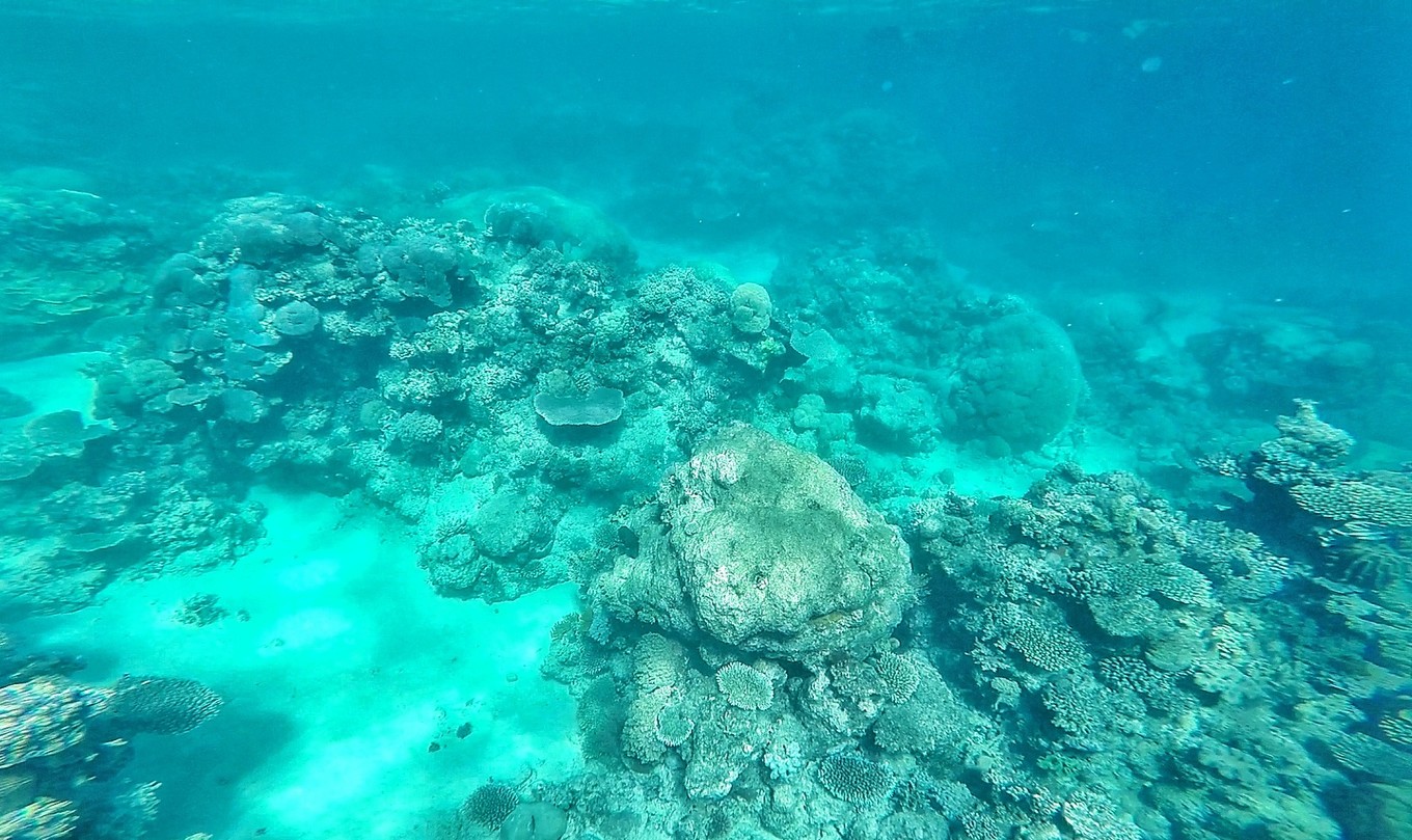 大堡礁值得去吗现在能去吗,大堡礁旅行攻略