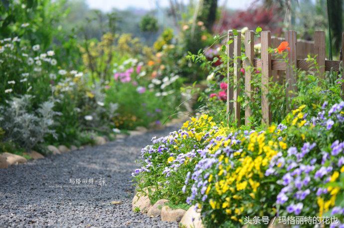 开满鲜花的小路教学设计一等奖,园丁培植万朵花