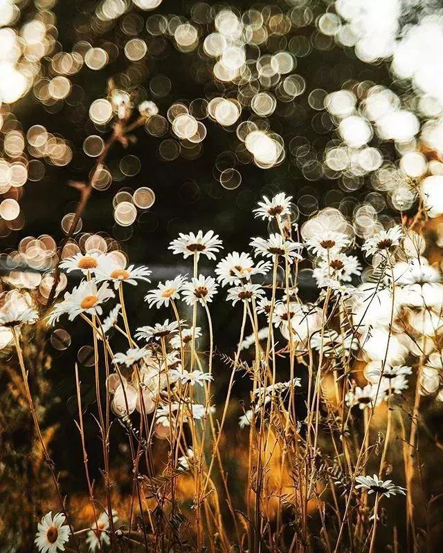 夜读一个人幸福的5种状态,夜读提升幸福感的10个好习惯