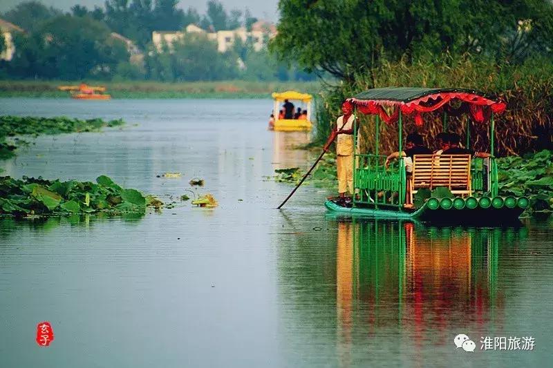 河南省政协副主席李英杰亲临淮阳“荷花杯”围棋棋王赛观战