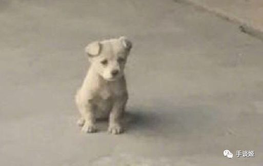 一款进化鲲的游戏,开局一条鲲进化全靠吞噬游戏视频