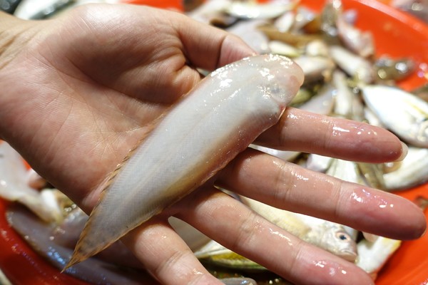 福建东山岛风动石景区视频,漳州东山县风动石景区介绍