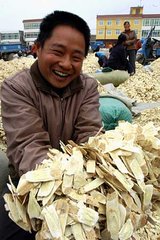 岷县花儿唱不完,岷县花儿赞歌